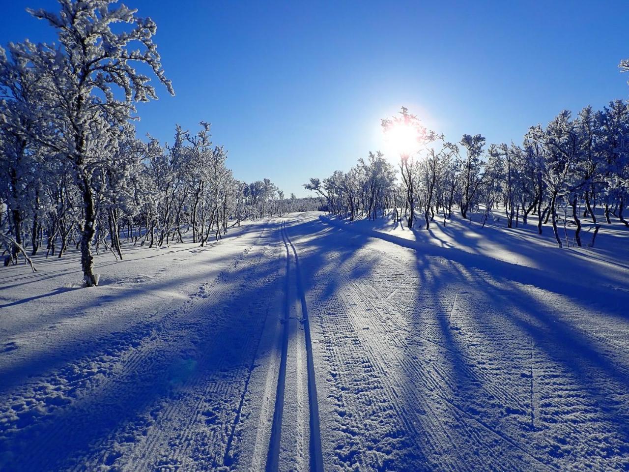 Varangertunet Arctic Resort Jakobselv Ngoại thất bức ảnh